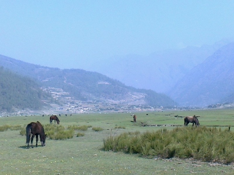 Jaljala Pass and Dhorpatan Trek (10Days)